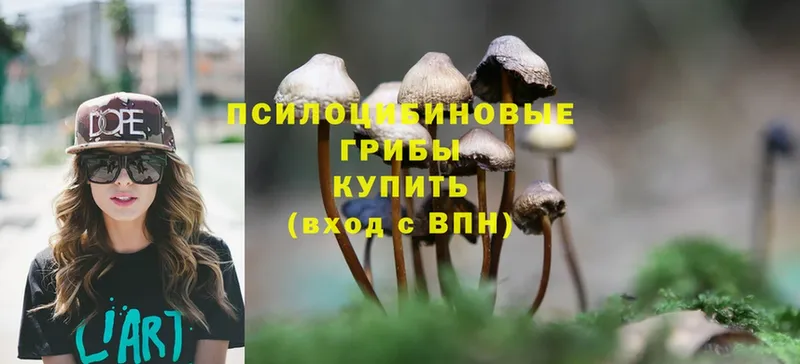 купить   OMG зеркало  Галлюциногенные грибы Magic Shrooms  Краснотурьинск 